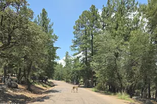 5916 W Deer Crossing Trail, Pine, AZ 85544 - Photo 2