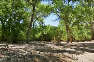 13811 E Casey Ln, Scottsdale, AZ 85262 - Photo 92