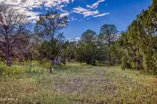 156 Acr 3158 --, Vernon, AZ 85940 - Photo 34