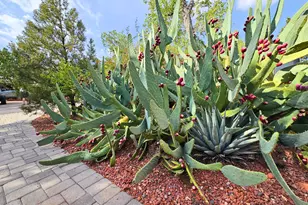 390 Coffee Pot Dr, Sedona, AZ 86336 - Photo 4