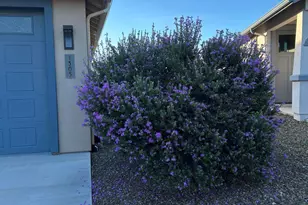 1505 Chateau Dr, Cottonwood, AZ 86326 - Photo 2