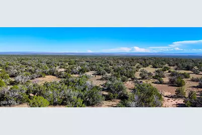 Tbd Co Rd N7480 40 Acres -- #-, Saint Johns, AZ 85936 - Photo 8