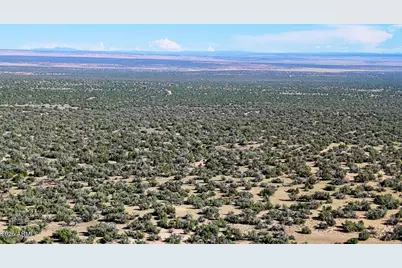 Tbd Co Rd N7480 40 Acres -- #-, Saint Johns, AZ 85936 - Photo 14