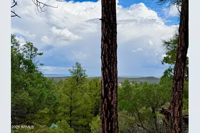 6292 Fawn Lane #-, Show Low, AZ 85901 - Photo 2