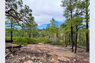 6292 Fawn Lane #-, Show Low, AZ 85901 - Photo 8