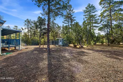 3051 State Route 277 --, Overgaard, AZ 85933 - Photo 4