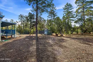 3051 State Route 277 --, Overgaard, AZ 85933 - Photo 4