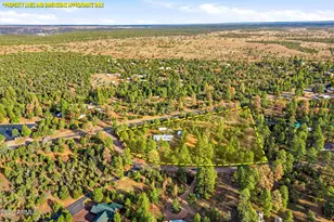 3051 State Route 277 --, Overgaard, AZ 85933 - Photo 40