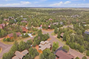 2803 Dogleg Way, Overgaard, AZ 85933 - Photo 52
