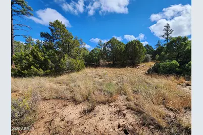 6662 State Route 260 -- #-, Show Low, AZ 85901 - Photo 4