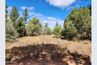 6662 State Route 260 -- #-, Show Low, AZ 85901 - Photo 6
