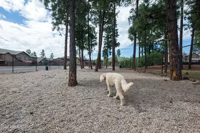 2944 S Camel Drive, Flagstaff, AZ 86001 - Photo 48
