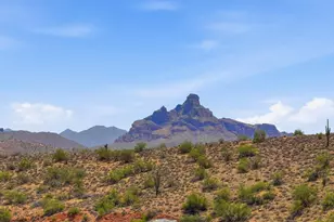 16360 E Ridgeline Dr, Fountain Hills, AZ 85268 - Photo 4