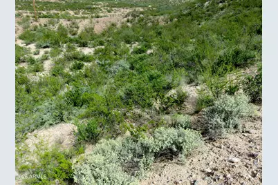 Tbd E Taylor Pass #22, Saint David, AZ 85630 - Photo 4