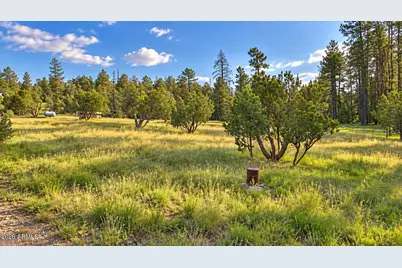 1895 W Aspen Lane, Overgaard, AZ 85933 - Photo 36