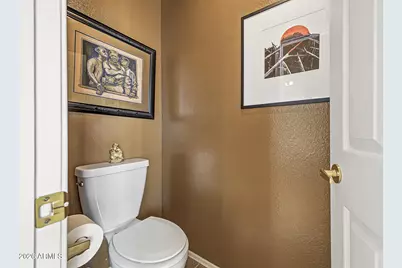 371 N Carriage Lane, Chandler, AZ 85224 - Photo 12