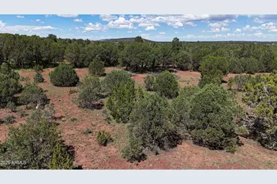19 County Road 3183 -- #5, Vernon, AZ 85940 - Photo 1