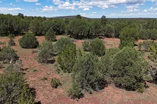 19 Co Rd 3183, Vernon, AZ 85940 - Photo 1