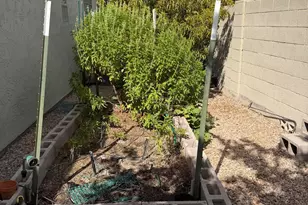 8465 E Portobello Ave, Mesa, AZ 85212 - Photo 20