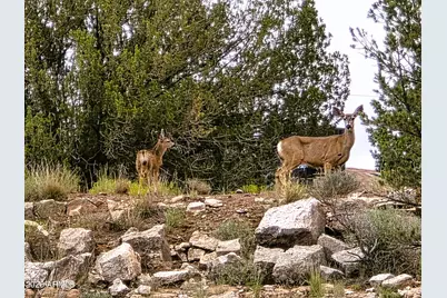 4630 E Deer Run Trail #9, Rimrock, AZ 86335 - Photo 12