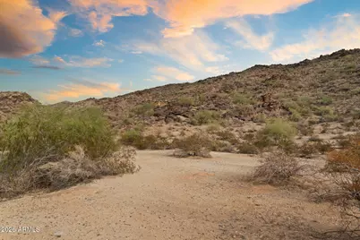 2334 E Samantha Way, Phoenix, AZ 85042 - Photo 88