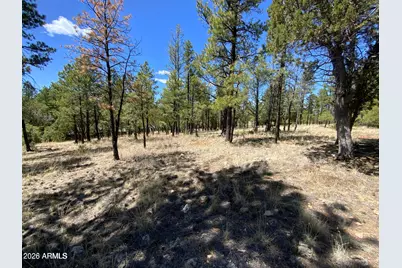 4199 Starlight Drive #613, Happy Jack, AZ 86024 - Photo 6