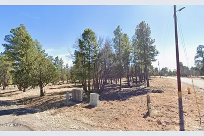4199 Starlight Drive #613, Happy Jack, AZ 86024 - Photo 4