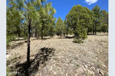 4199 Starlight Drive #613, Happy Jack, AZ 86024 - Photo 1