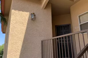10410 N Cave Creek Rd, Phoenix, AZ 85020 - Photo 8