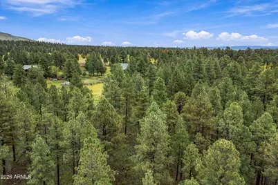 38650 State Route 373 -- #-, Greer, AZ 85927 - Photo 16