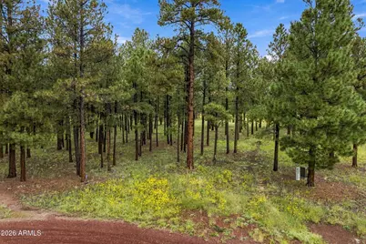 38650 State Route 373 -- #-, Greer, AZ 85927 - Photo 2