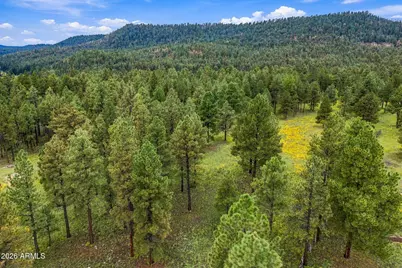 38650 State Route 373 -- #-, Greer, AZ 85927 - Photo 18