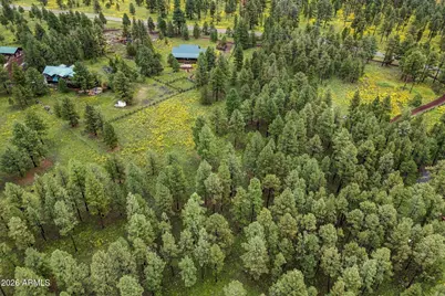 38650 State Route 373 -- #-, Greer, AZ 85927 - Photo 12
