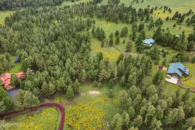 38650 State Route 373 -- #-, Greer, AZ 85927 - Photo 8