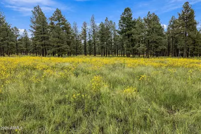 38650 State Route 373 -- #-, Greer, AZ 85927 - Photo 4