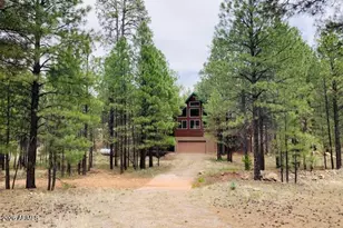 2833 W Red Hawk Circle, Happy Jack, AZ 86024 - Photo 28