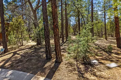 5039 Winter Hawk Court #69, Lakeside, AZ 85929 - Photo 6
