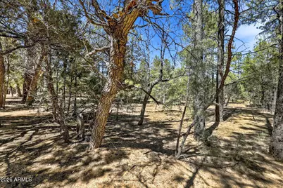 5039 Winter Hawk Court #69, Lakeside, AZ 85929 - Photo 2