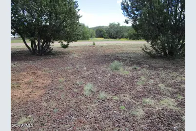 53 County Road #3203, Concho, AZ 85924 - Photo 38