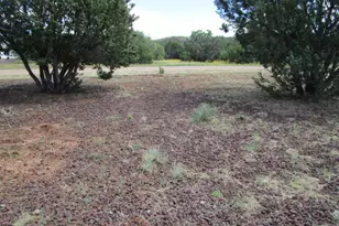 53 County Rd, Concho, AZ 85924 - Photo 38