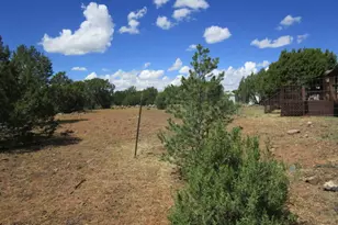 53 County Rd, Concho, AZ 85924 - Photo 42