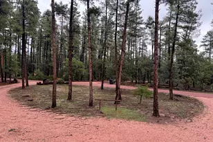 264 S Conifer Dr, Payson, AZ 85541 - Photo 2