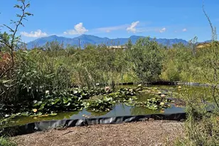 6948 E Horsethief Draw Rd, Sierra Vista, AZ 85635 - Photo 38