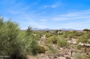 16142 N 102nd Way, Scottsdale, AZ 85255 - Photo 28
