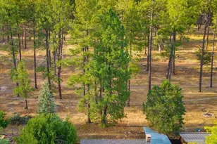 216 W Standage Dr, Payson, AZ 85541 - Photo 20