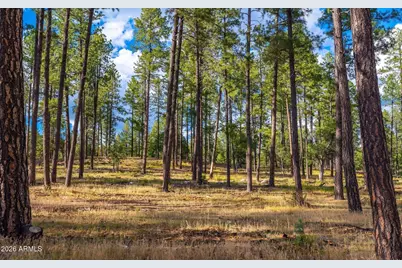 216 W Standage Drive, Payson, AZ 85541 - Photo 14