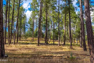 216 W Standage Dr, Payson, AZ 85541 - Photo 14