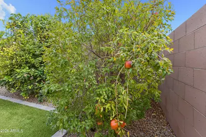 20415 E Domingo Road, Queen Creek, AZ 85142 - Photo 50