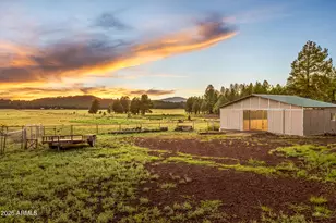 1459 N Transwestern Pump Rd, Bellemont, AZ 86015 - Photo 8
