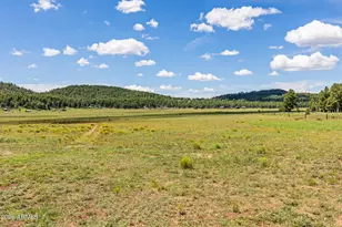1459 N Transwestern Pump Rd, Bellemont, AZ 86015 - Photo 86